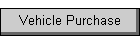 Vehicle Purchase