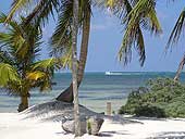 WHITE SANDS COVE WEBSITE