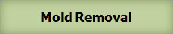 Mold Removal